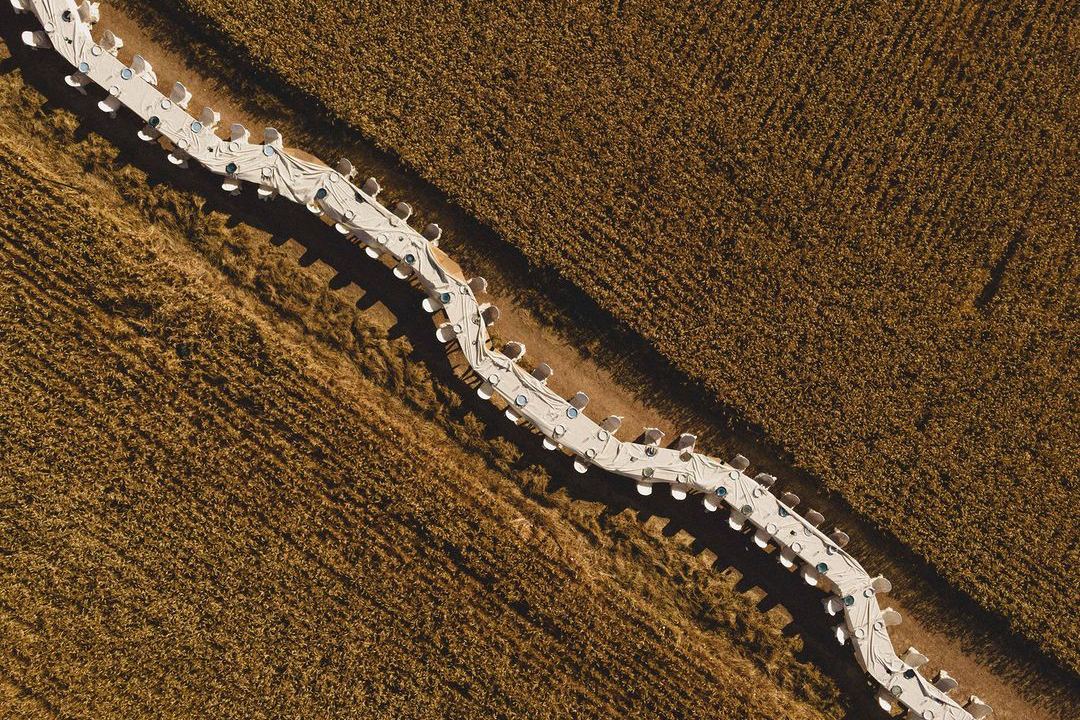 wedding table settings
